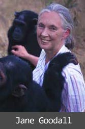 jane_goodall