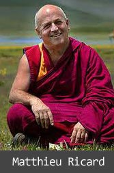 matthieu_ricard