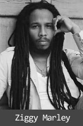 ziggy_marley