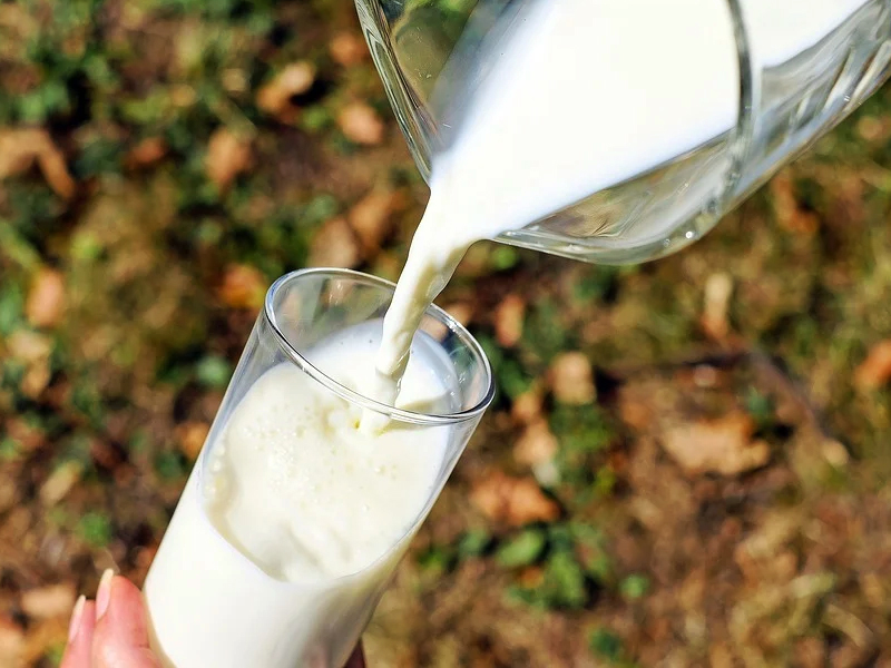 Victoire pour les boissons alternatives au lait animal